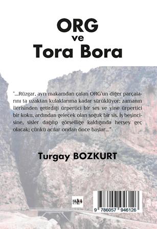 Realist Roman, Nat�ralist Roman