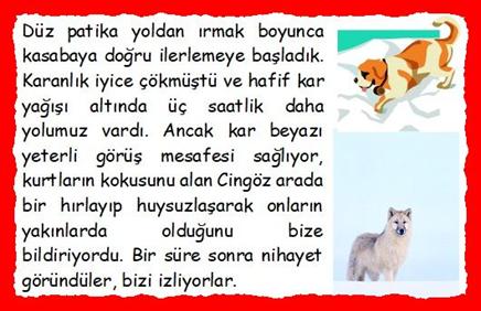 KURTLAR: D�z patika yoldan ırmak boyunca kasabaya doğru ilerlemeye başladık. Karanlık iyice ��km�şt� ve hafif kar yağışı altında �� saatlik daha yolumuz vardı. Ancak kar beyazı yeterli g�r�ş mesafesi sağlıyor, kurtların kokusunu alan Cing�z arada bir hırlayıp huysuzlaşarak onların yakınlarda olduğunu bize bildiriyordu. Bir s�re sonra nihayet g�r�nd�ler, bizi izliyorlar.