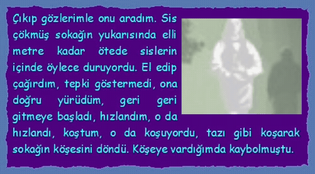 SİSLER İ�İNDE: �ıkıp g�zlerimle onu aradım. Sis ��km�ş sokağın yukarısında elli metre kadar �tede sislerin i�inde �ylece duruyordu. El edip �ağırdım, tepki g�stermedi, ona doğru y�r�d�m, geri geri gitmeye başladı, hızlandım, o da hızlandı, koştum, o da koşuyordu, tazı gibi koşarak sokağın k�şesini d�nd�. K�şeye vardığımda kaybolmuştu.